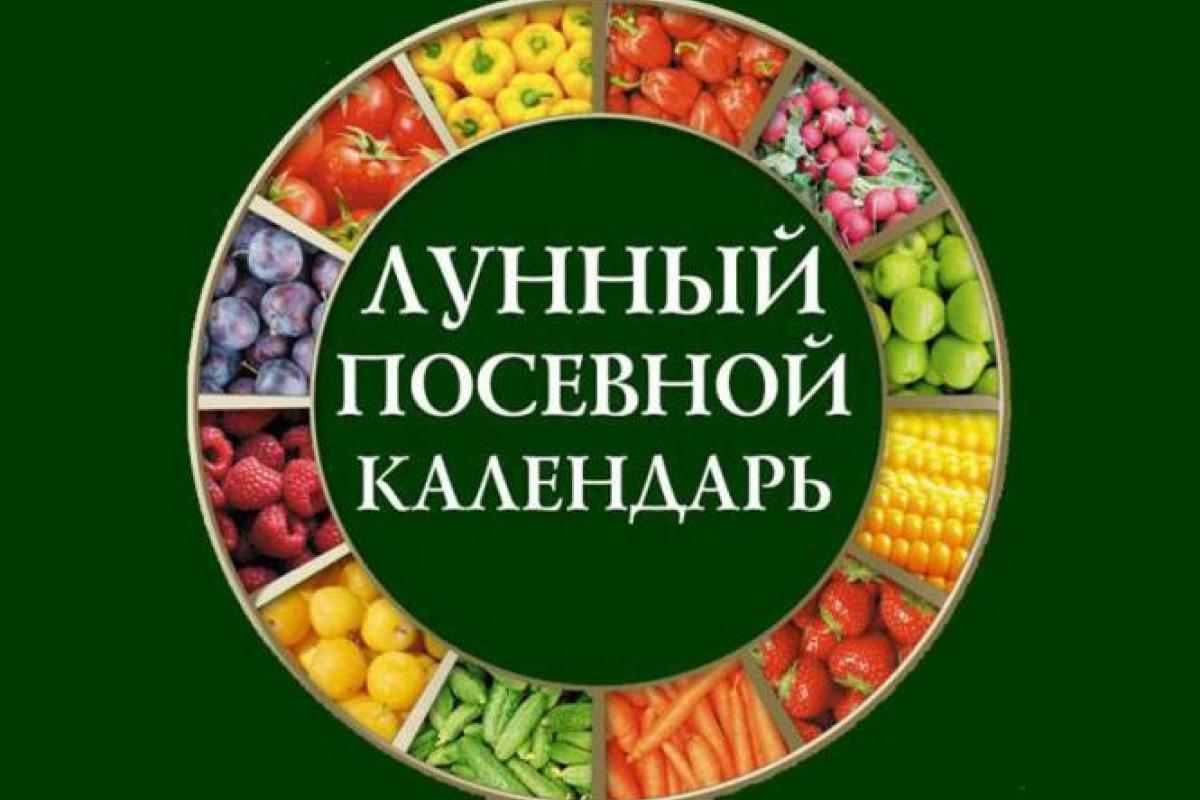 Місячний посівний календар на травень: що і коли потрібно садити Місячний посівний календар на травень: що і коли потрібно садити