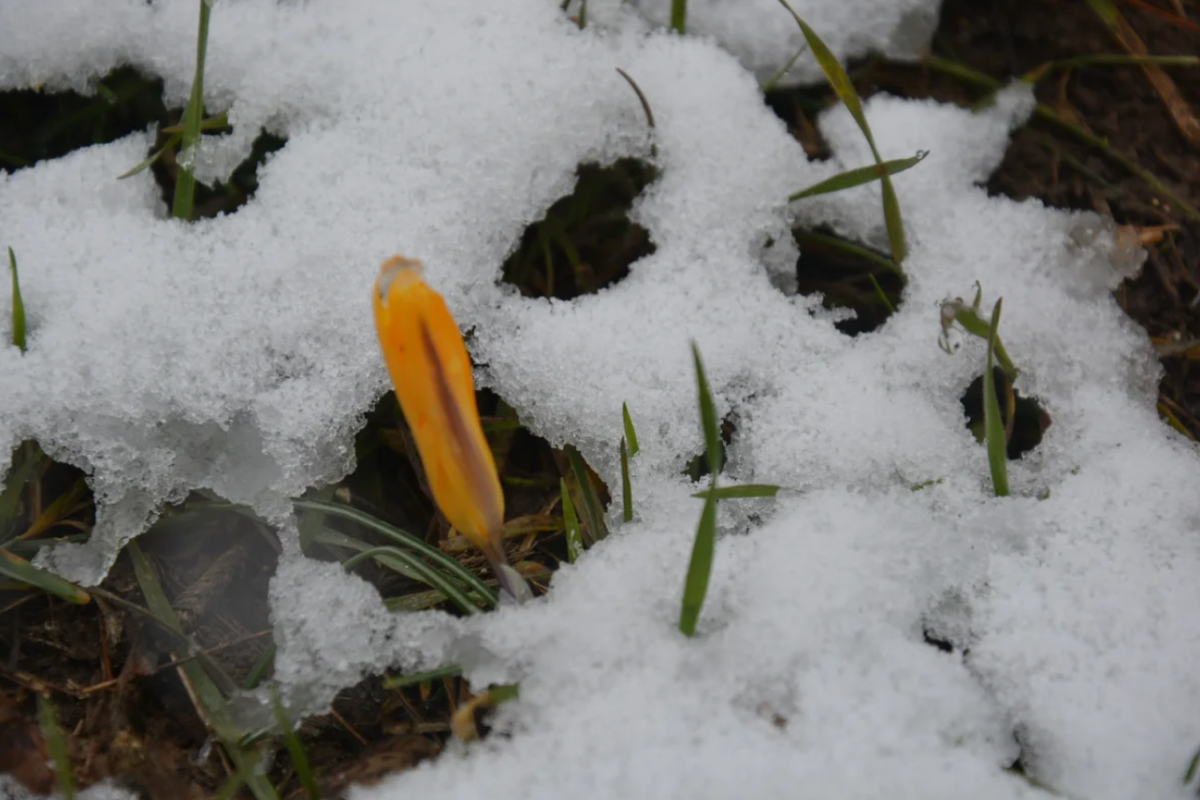 На Україну насувається холодний фронт: синоптик повідомила, які регіони замерзнуть На Україну насувається холодний фронт: синоптик повідомила, які регіони замерзнуть