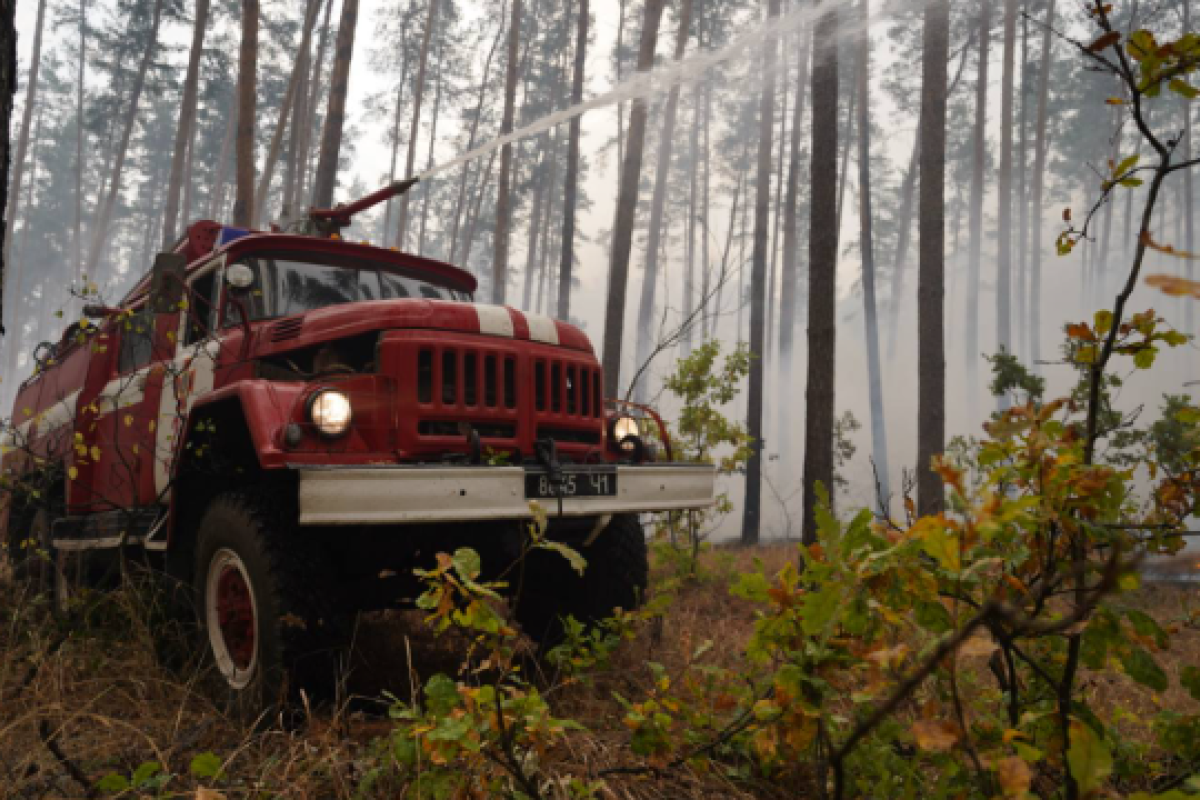 Чиновники ГСЧС Луганщины предстанут перед судом за фейковое тушение пожаров