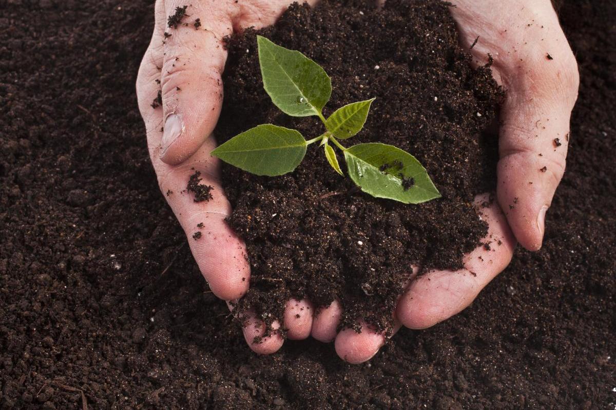 В Минагро пообещали забирать у россиян и террористов незаконно приобретенную украинскую землю