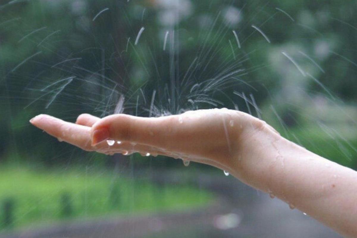 В Украину идет новый циклон с дождями: какие области накроет непогода В Украину идет новый циклон с дождями: какие области накроет непогода