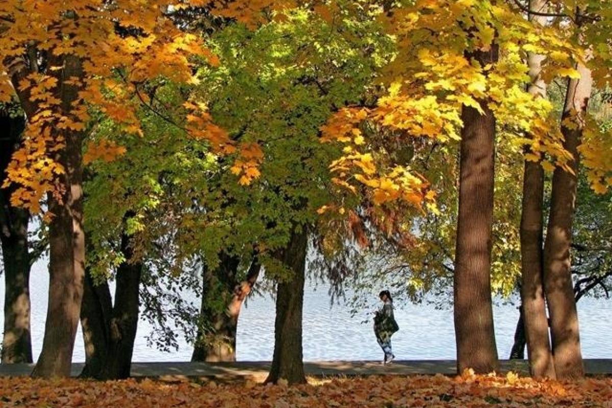 Синоптики розповіли, яку погоду принесе з собою вересень