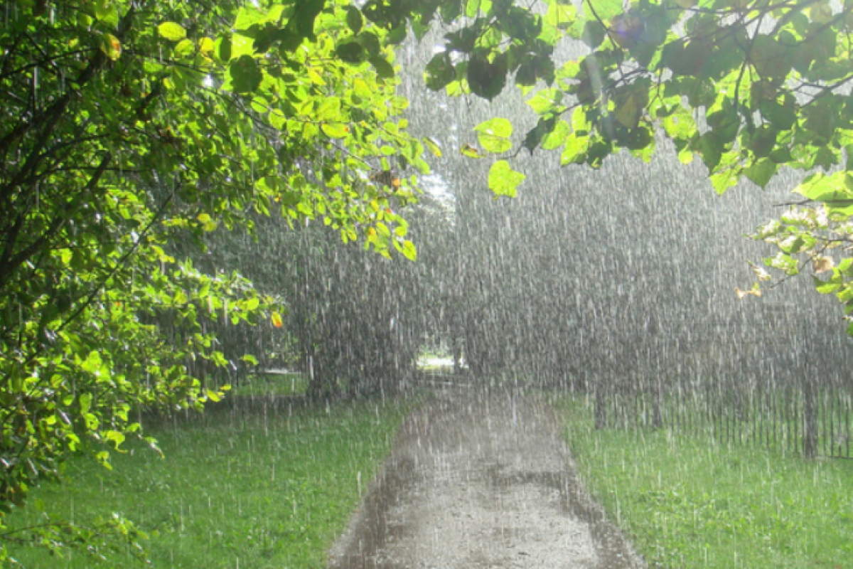 Зміна літа на осінь в Україні пройде з дощами, синоптик попередила про відчутне похолодання Зміна літа на осінь в Україні пройде з дощами, синоптик попередила про відчутне похолодання