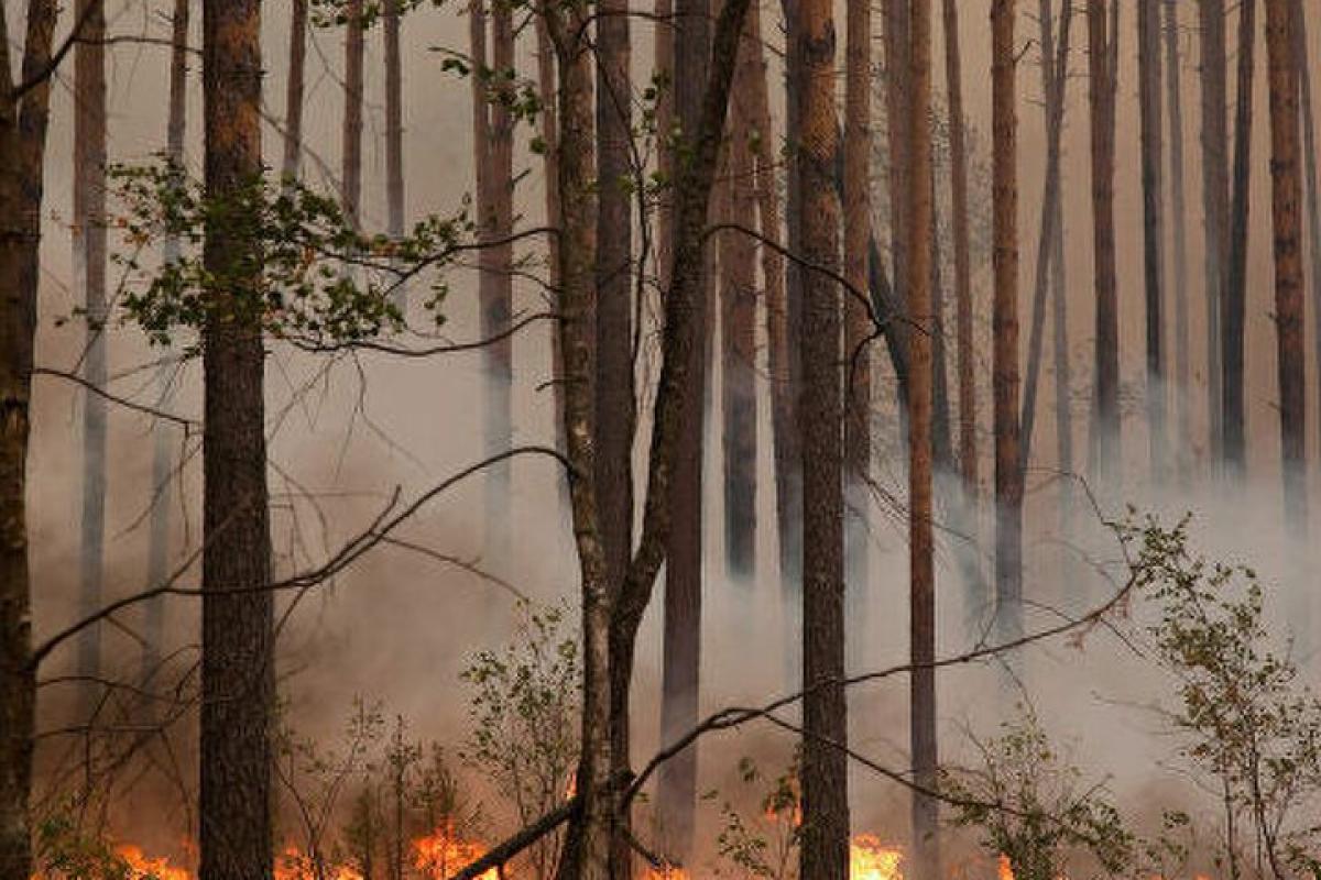 У Росії лісові пожежі підібралися до ядерного центру в Сарові У Росії лісові пожежі підібралися до ядерного центру в Сарові