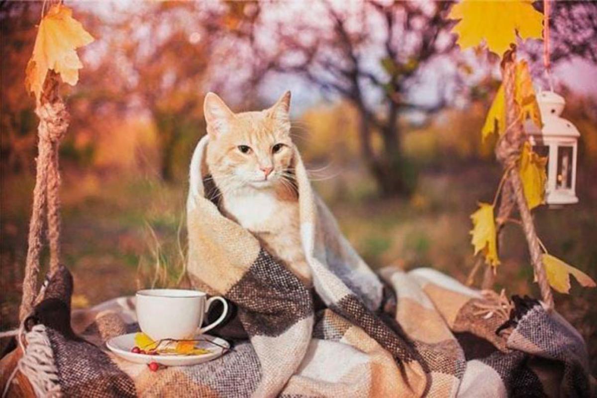 На українців чекає холодний вересень, кліматологи закликали готуватися до "аномалій" На українців чекає холодний вересень, кліматологи закликали готуватися до "аномалій"