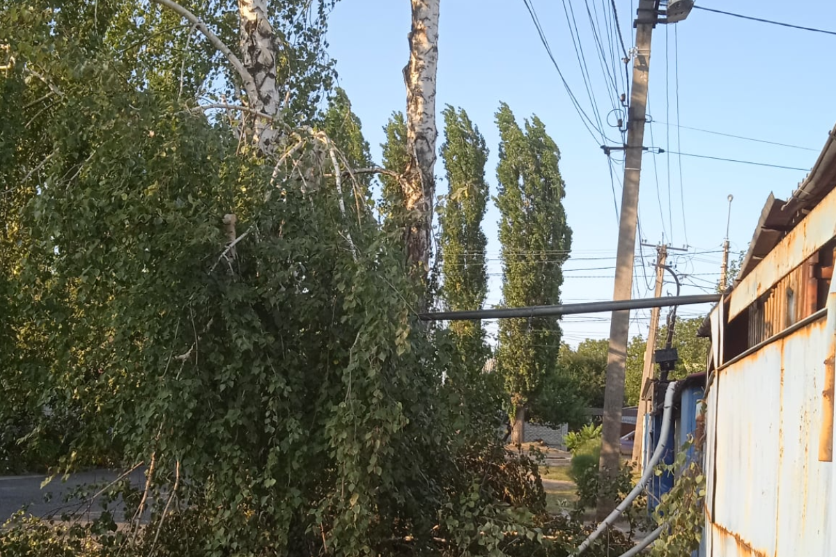 Мешканці Лисичанська звинуватили працівників ЛЕО у "варварстві": в компанії відповіли Мешканці Лисичанська звинуватили працівників ЛЕО у "варварстві": в компанії відповіли