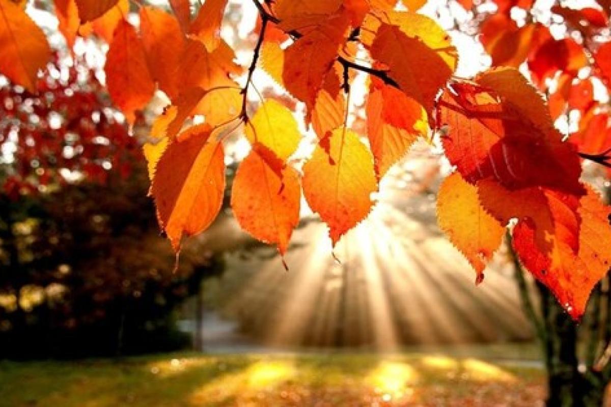 "Без атмосферних явищ не залишимося": які сюрпризи піднесе погода в Україні "Без атмосферних явищ не залишимося": які сюрпризи піднесе погода в Україні