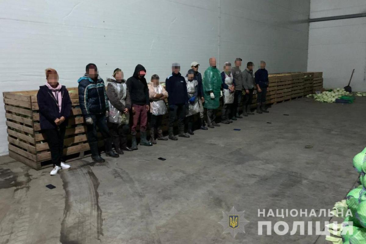 На Дніпропетровщині фермери тримали у рабстві 60 осіб На Дніпропетровщині фермери тримали у рабстві 60 осіб