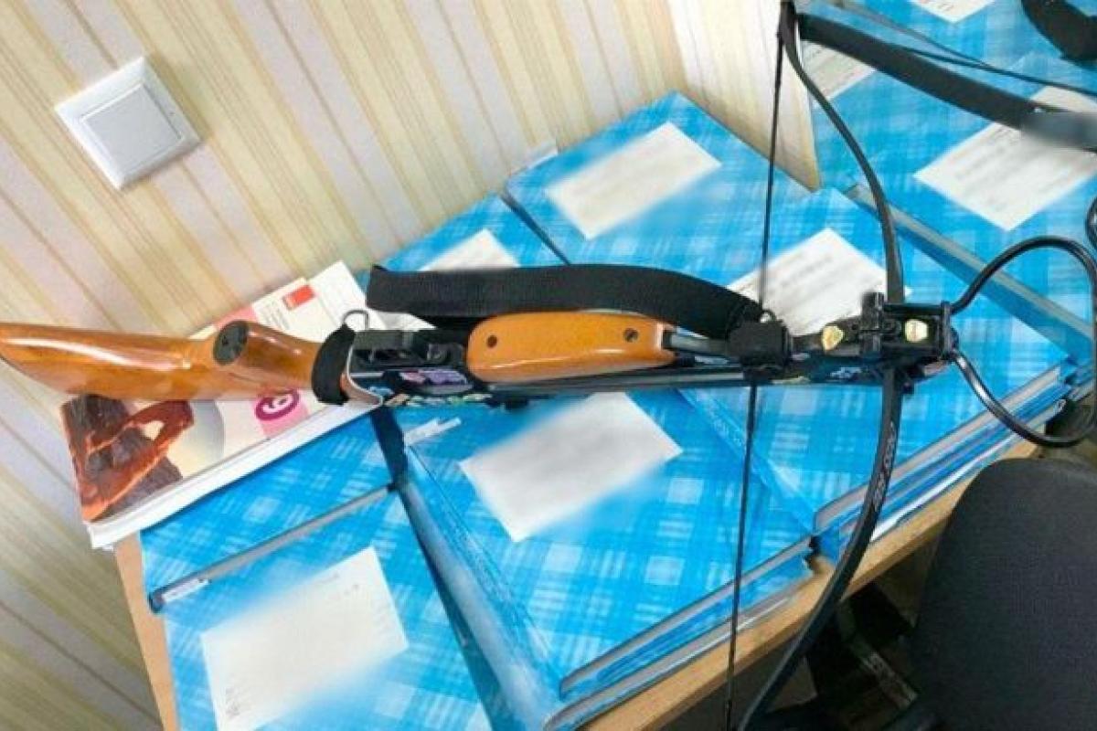 В Полтавской школе неизвестная устроила стрельбу из арбалета: ранены двое учителей В Полтавской школе неизвестная устроила стрельбу из арбалета: ранены двое учителей