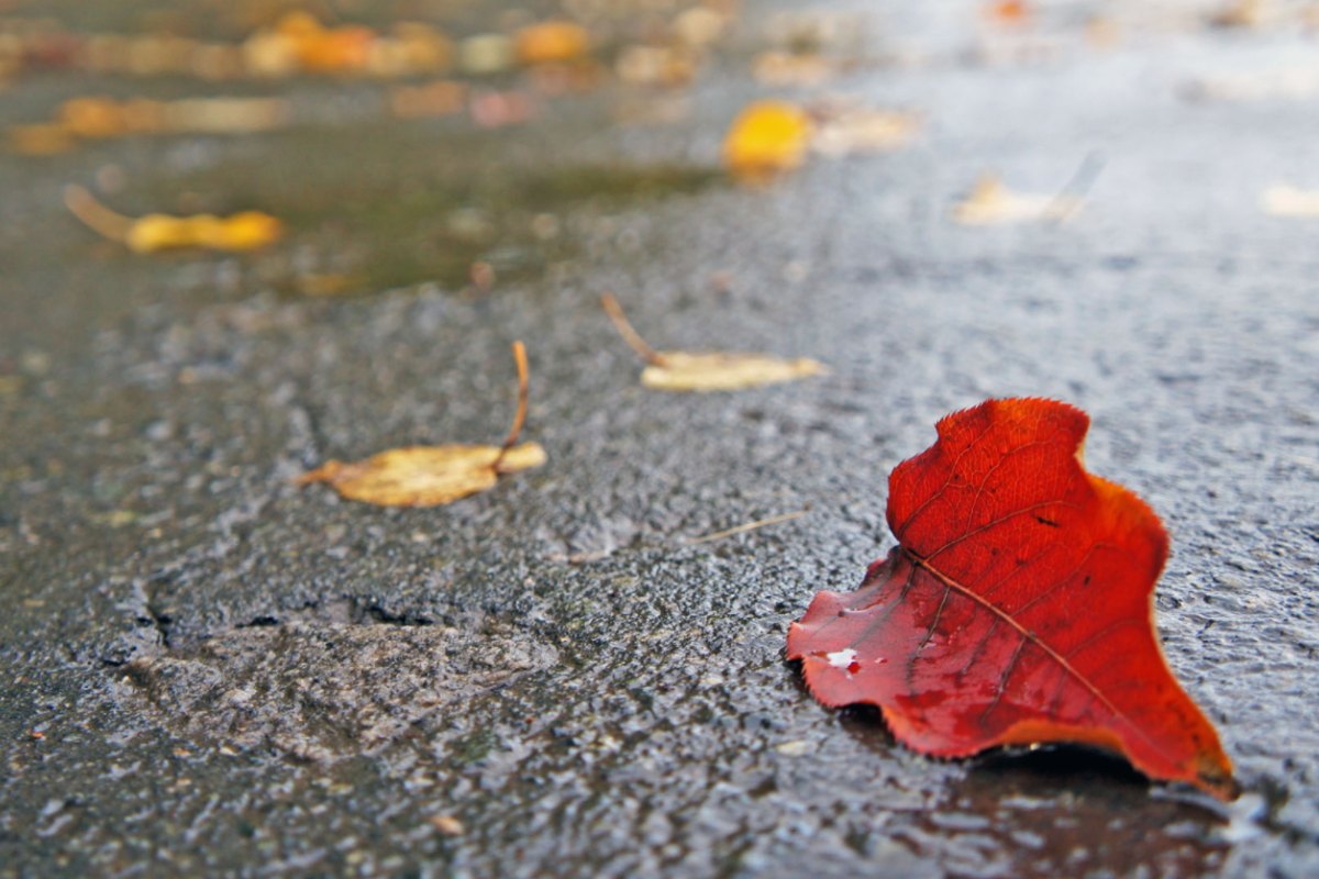 Через Україну пройде холодний фронт: синоптик розповіла про погоду на вихідних Через Україну пройде холодний фронт: синоптик розповіла про погоду на вихідних