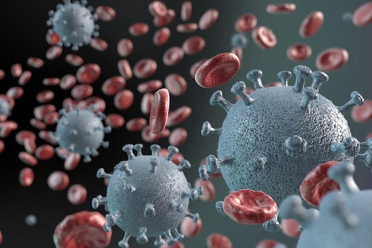 На Луганщине зафиксировано 204 новых случая COVID-19 На Луганщине зафиксировано 204 новых случая COVID-19