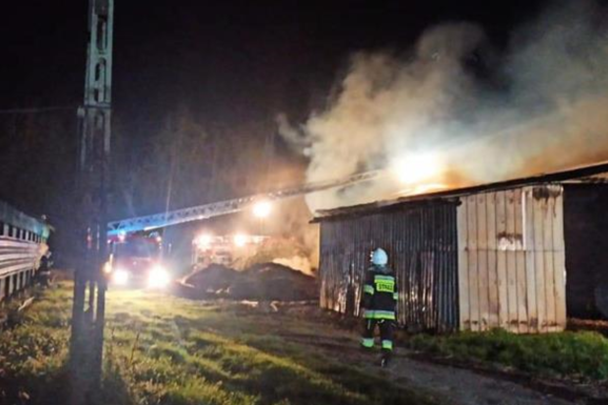 В Польше задержали трех украинцев за поджог птицефермы и взлом магазина В Польше задержали трех украинцев за поджог птицефермы и взлом магазина