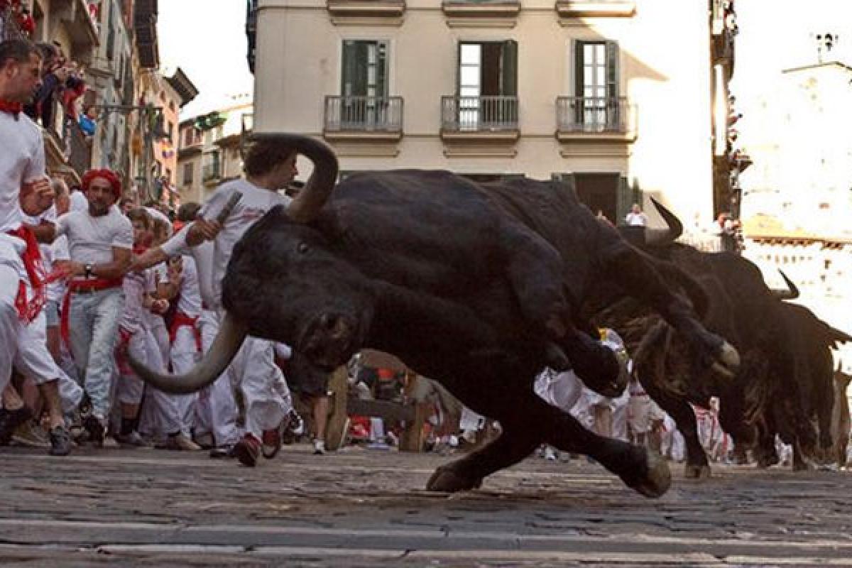 В Испании возобновились традиционные забеги от быков: уже есть погибший В Испании возобновились традиционные забеги от быков: уже есть погибший