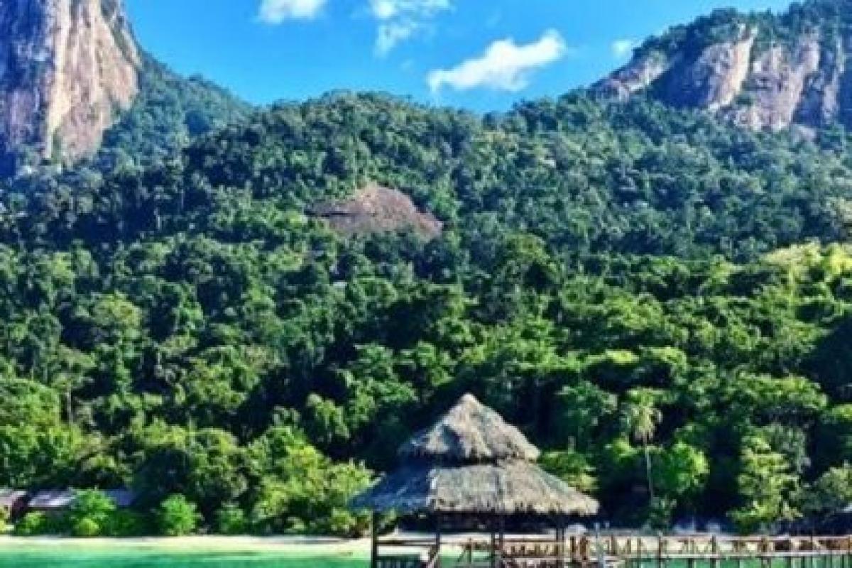 Малайзия открывает границы для вакцинированных путешественников Малайзия открывает границы для вакцинированных путешественников