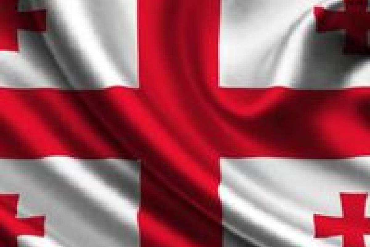 У Грузії оголосили результати місцевих виборів У Грузії оголосили результати місцевих виборів