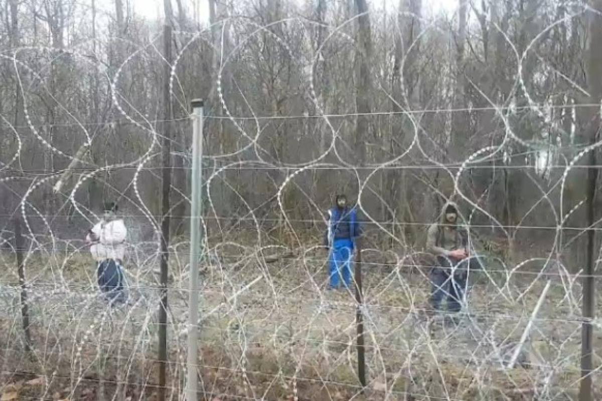 На польському кордоні сталися сутички між мігрантами та прикордонниками (відео)