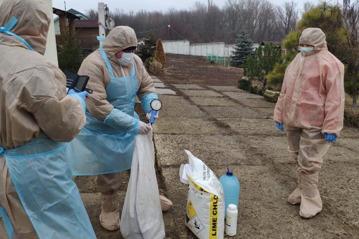 На Луганщині підтвердили спалах пташиного грипу