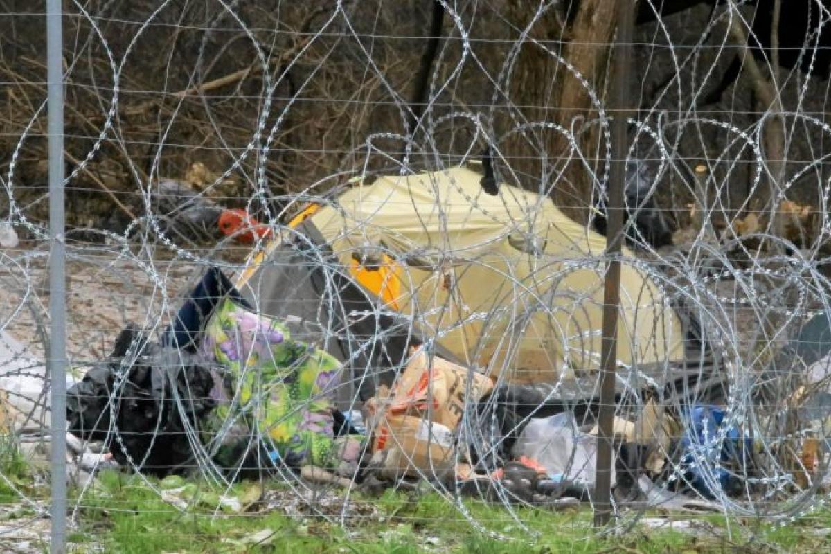 Десятки мигрантов пытались прорваться из Беларуси в Польшу