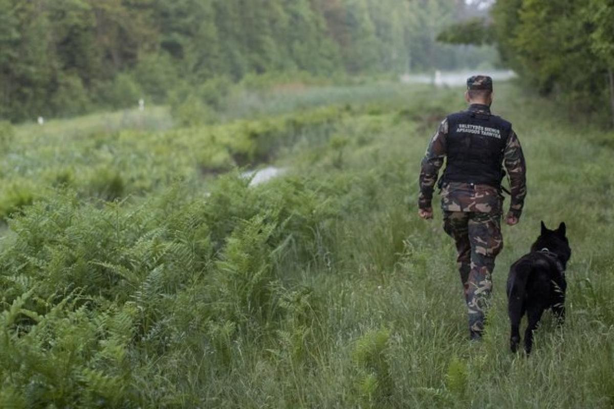 Белорусские пограничники использовали на польской границе петарды Белорусские пограничники использовали на польской границе петарды
