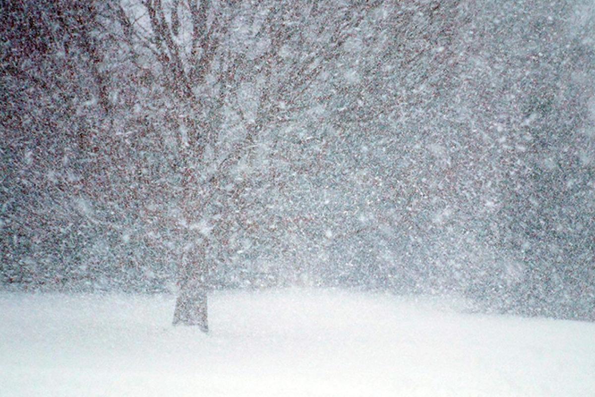 На Луганщине усложнится погода, налетят метели: прогноз на ближайшую неделю