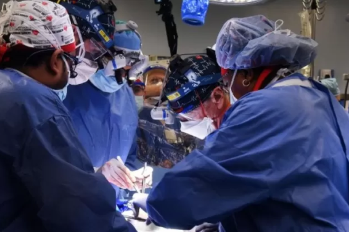 Вперше у світі людині пересадили серце свині Вперше у світі людині пересадили серце свині