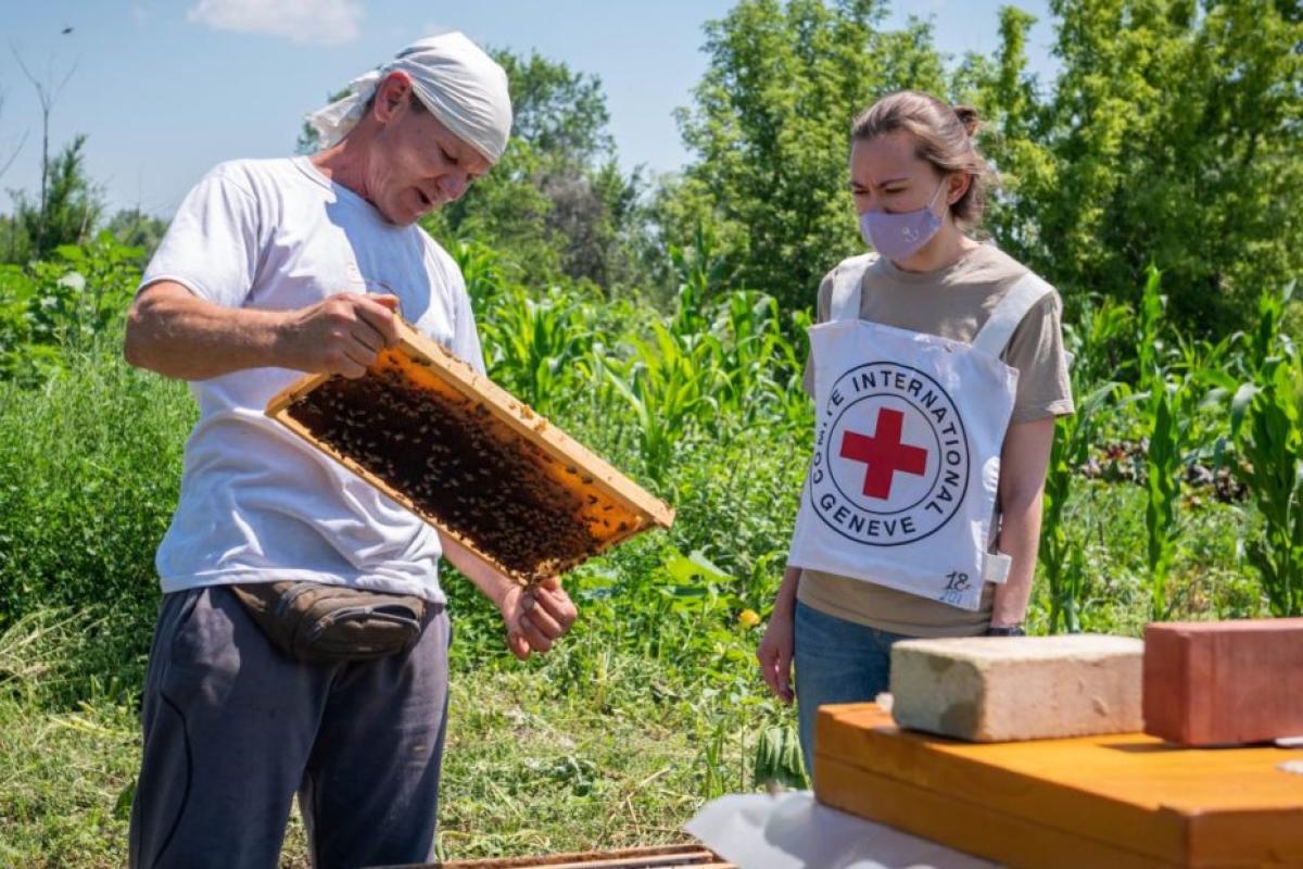 Червоний Хрест затвердив програму допомоги жителям Луганщини Червоний Хрест затвердив програму допомоги жителям Луганщини