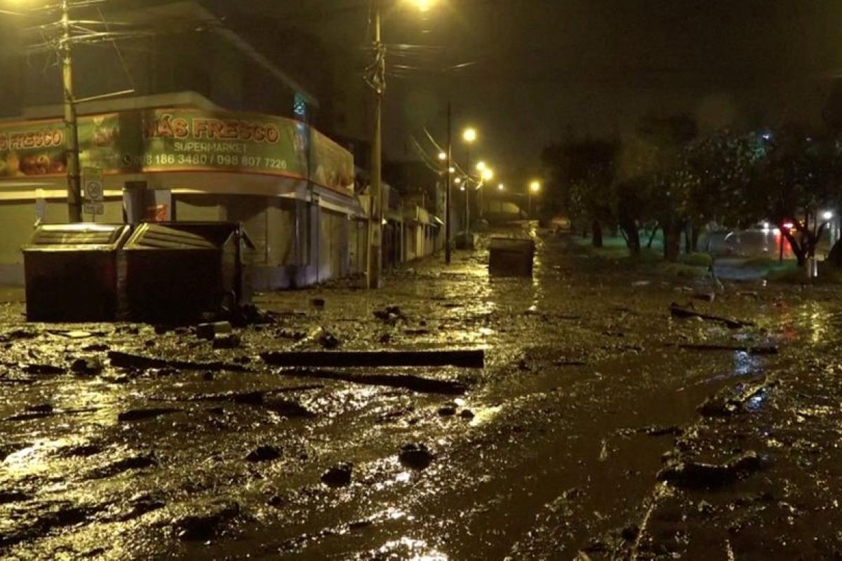 В Эквадоре рекордные дожди вызвали оползень: много погибших и раненых В Эквадоре рекордные дожди вызвали оползень: много погибших и раненых