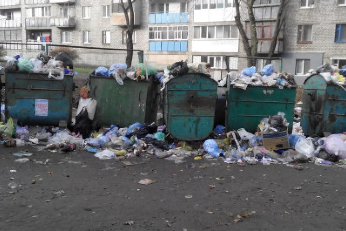 "Працювати нема кому": Окупований Алчевськ тоне у смітті "Працювати нема кому": Окупований Алчевськ тоне у смітті