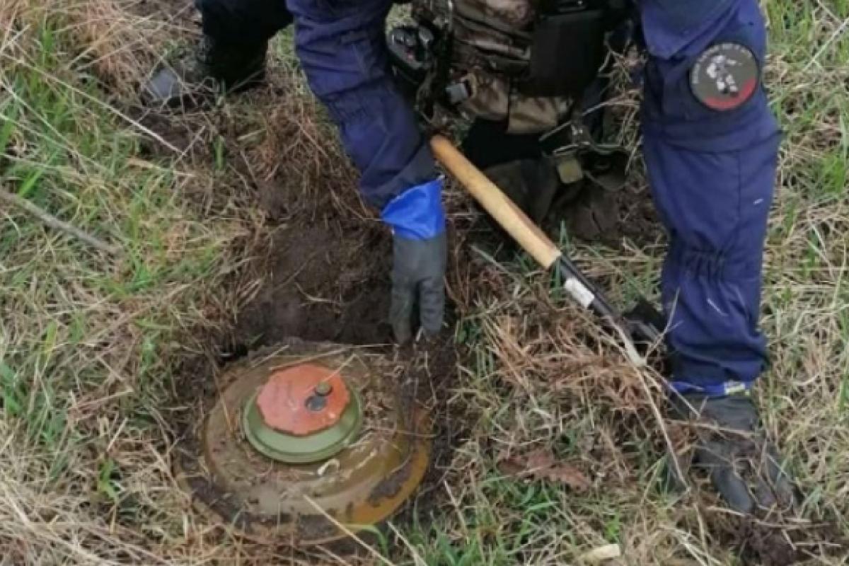 Майже половину України доведеться розміновувати, - ДСНС Майже половину України доведеться розміновувати, - ДСНС
