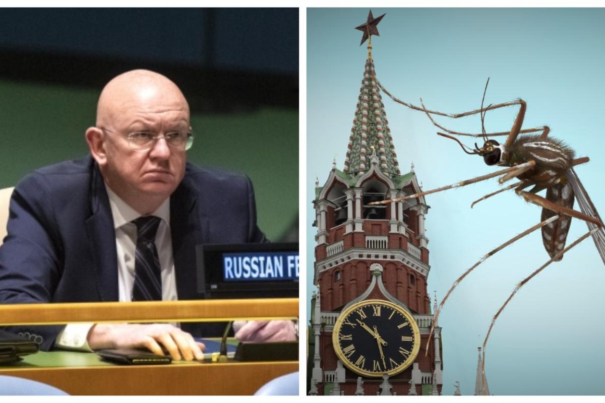 "Брудна бомба" вже не в тренді: постпред РФ в ООН розповів про "бойових комарів" "Брудна бомба" вже не в тренді: постпред РФ в ООН розповів про "бойових комарів"