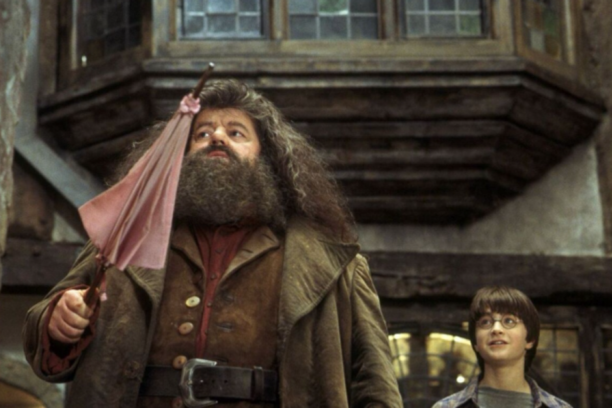 Умер звезда фильмов о Гарри Поттере Робби Колтрейн Умер звезда фильмов о Гарри Поттере Робби Колтрейн