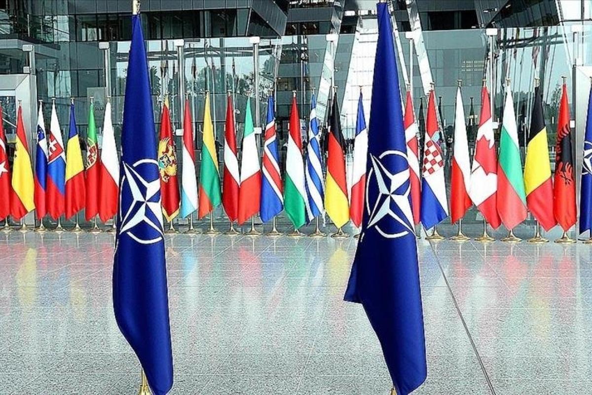 Готові захищати кожен дюйм НАТО: реакція союзників на падіння ракети в Польщі Готові захищати кожен дюйм НАТО: реакція союзників на падіння ракети в Польщі