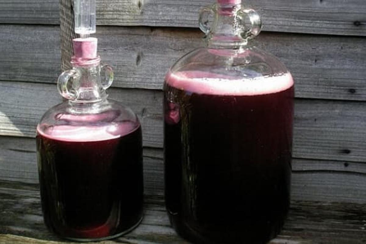 Брожение домашнего вина: длительность и особенности процесса Брожение домашнего вина: длительность и особенности процесса