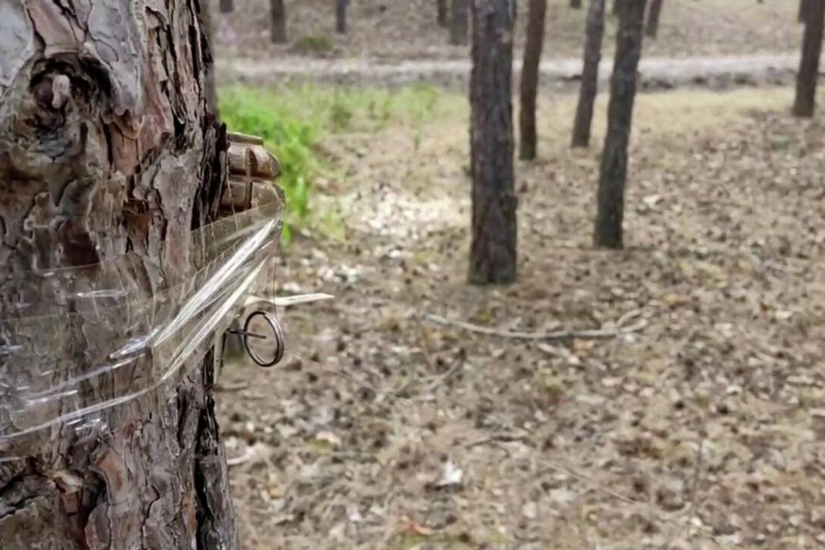 "Сюрпризы" на каждом шагу: Боец ВСУ показал, как заминирована Луганщина "Сюрпризы" на каждом шагу: Боец ВСУ показал, как заминирована Луганщина