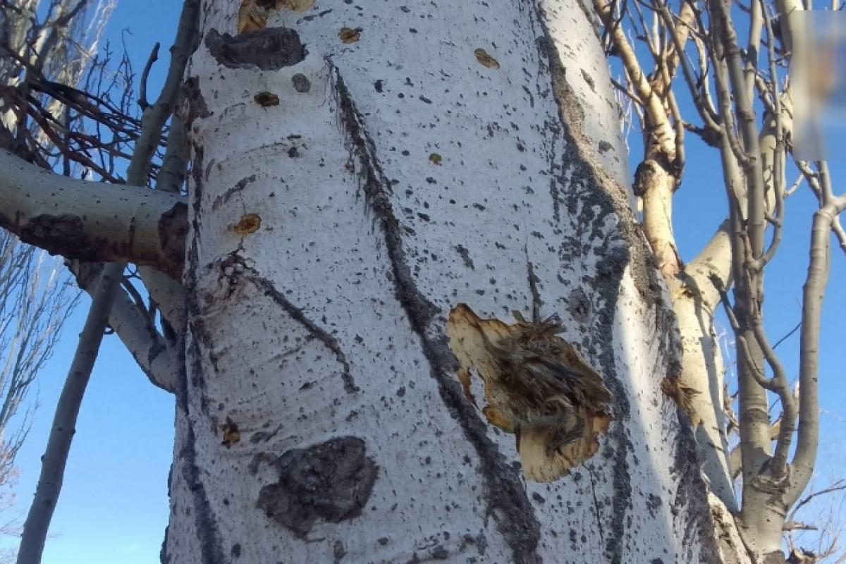 "Умер мужчина": В сети появились подробности "прилета" в Лисичанске "Умер мужчина": В сети появились подробности "прилета" в Лисичанске