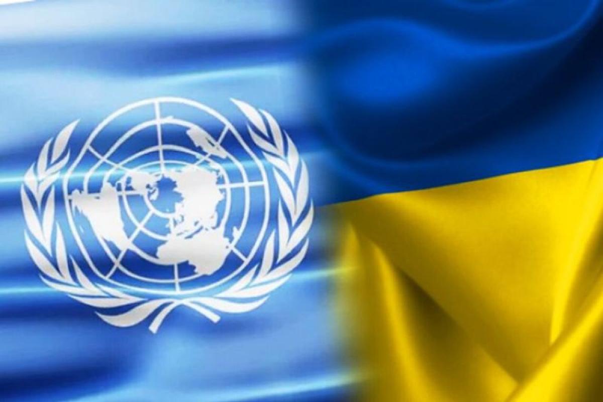 Відновлено реєстрацію на отримання виплат від ООН для ВПО: хто може розраховувати на грошову допомогу Відновлено реєстрацію на отримання виплат від ООН для ВПО: хто може розраховувати на грошову допомогу