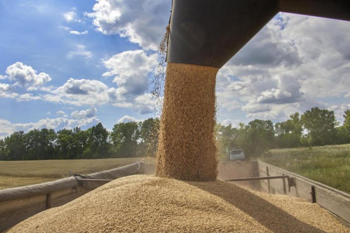 Новые детали импортных ограничений из Украины: эмбарго применят к 4 продуктам Новые детали импортных ограничений из Украины: эмбарго применят к 4 продуктам
