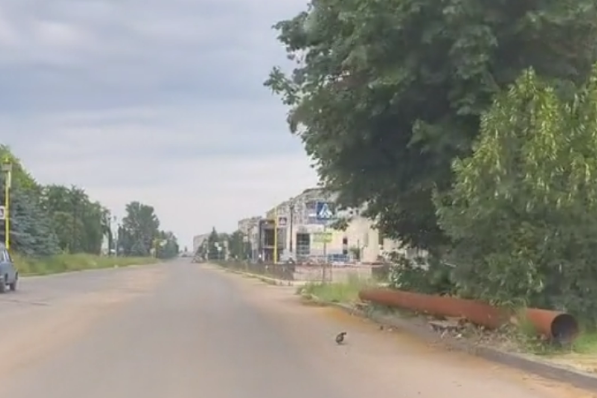 Зруйновані будівлі та суцільна розруха: у мережі опублікували нове відео з Лисичанська