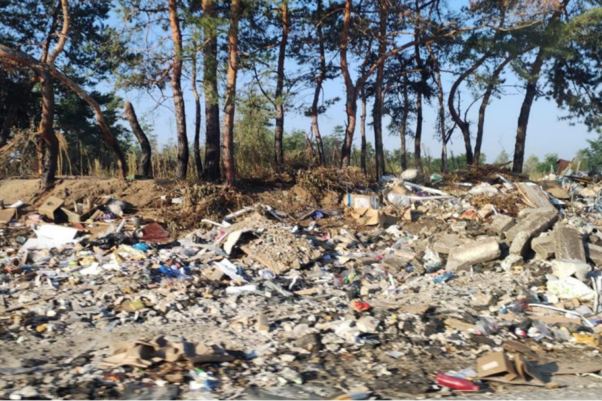 "Скоро стануть окремою екосистемою": У Сєвєродонецьку розростаються сміттєзвалища - фото "Скоро стануть окремою екосистемою": У Сєвєродонецьку розростаються сміттєзвалища - фото