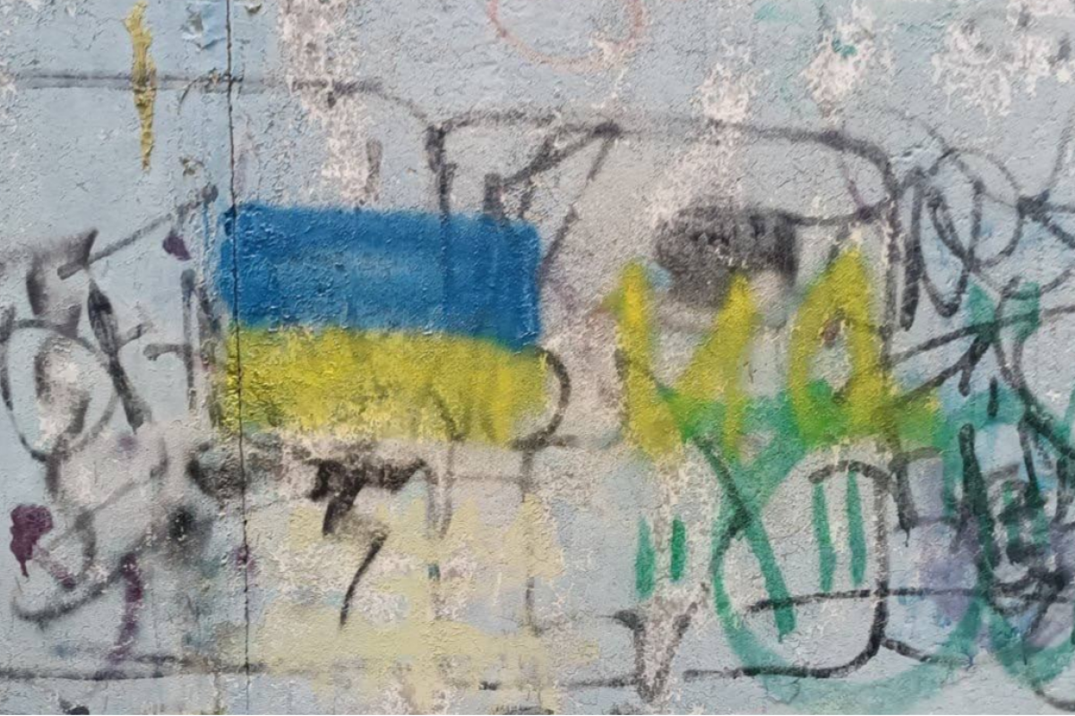 Как действуют активисты в Луганске - фото Как действуют активисты в Луганске - фото