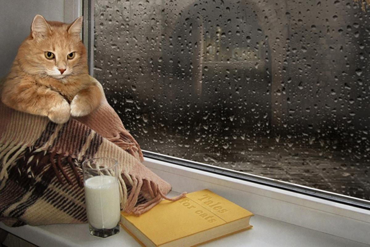 Пуховики на подходе: синоптики предсказывают резкое изменение погоды