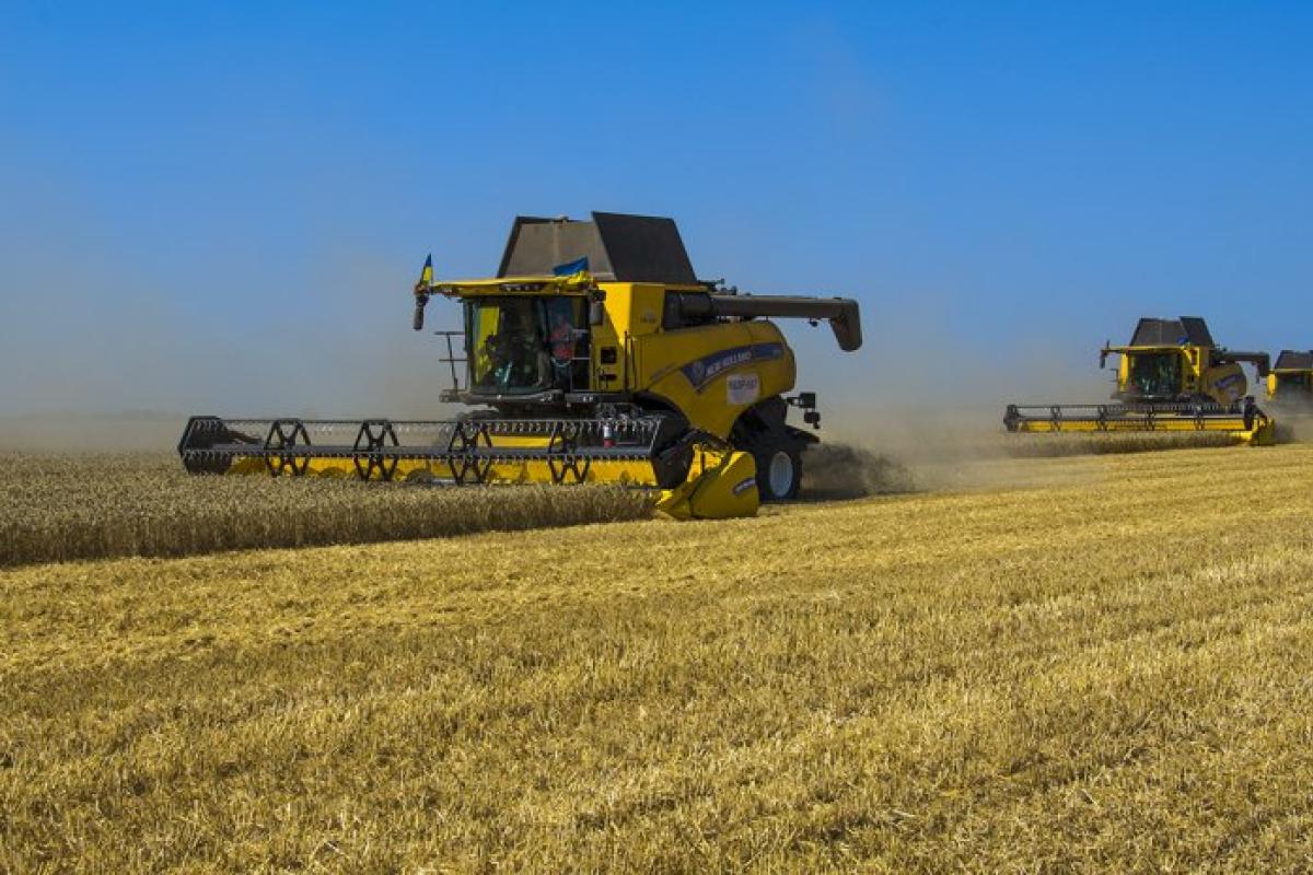 Підсумки збору врожаю на Луганщині: де зникли 70% зерна? Підсумки збору врожаю на Луганщині: де зникли 70% зерна?
