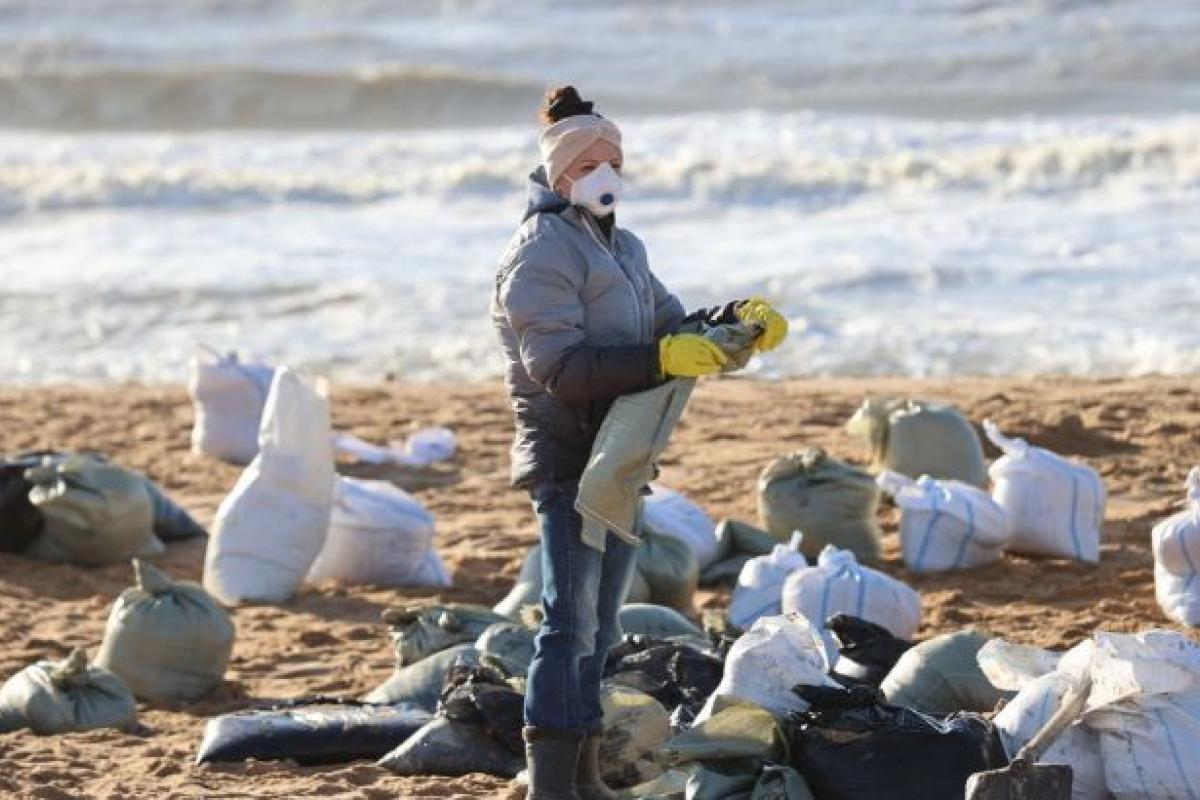 Смертельна хвиля: у Чорному морі гинуть дельфіни, а мазут поширюється далі
