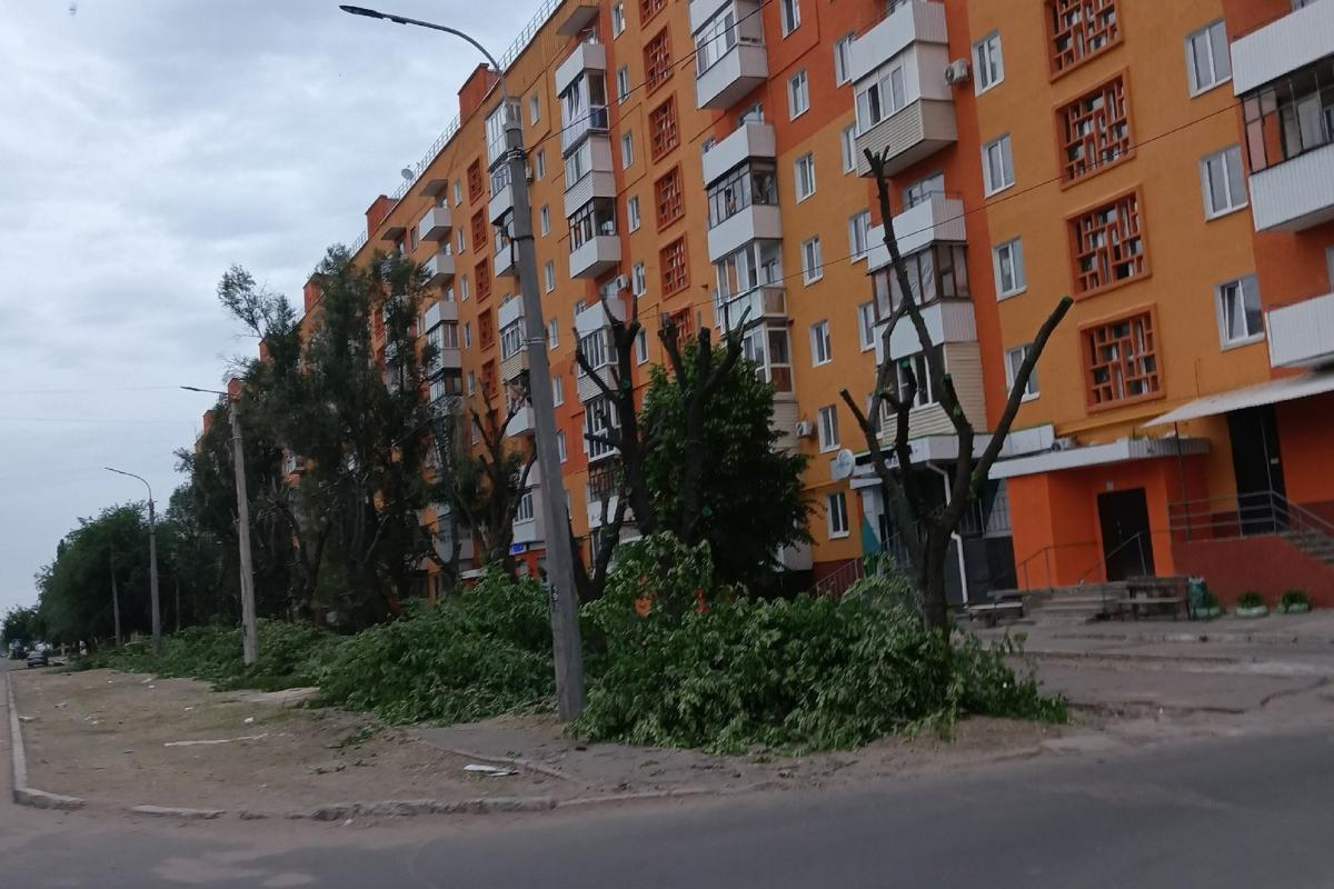 «Як у пустелі»: мешканці Сєвєродонецька скаржаться на варварську обрізку дерев