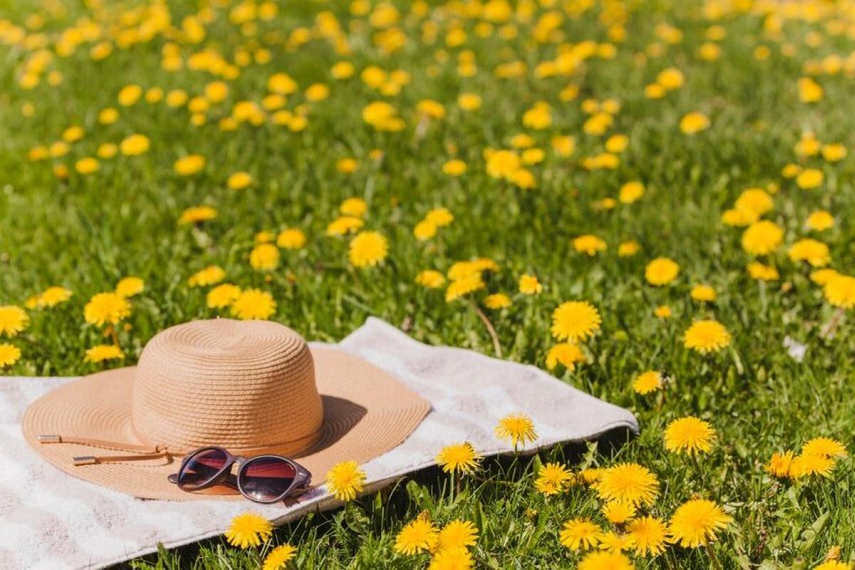 6 червня Україну накриє спека до +30°C. Грозові дощі та сильний вітер очікуються на заході, півночі та Вінниччині. У Києві до +29°C, можлива гроза.