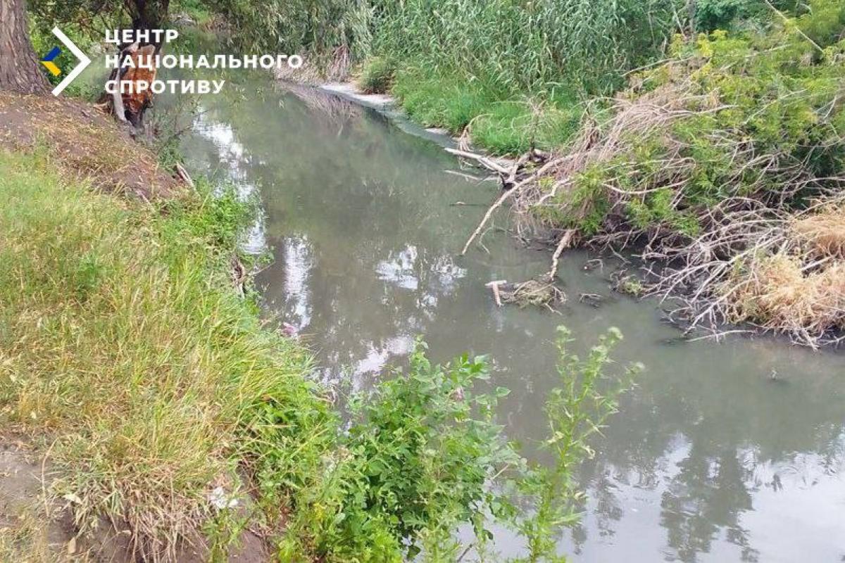 У Луганську каналізаційні стоки скидаються в річку Луганку без очищення. Вода перетворилася на смердюче болото, є загроза інфекцій.