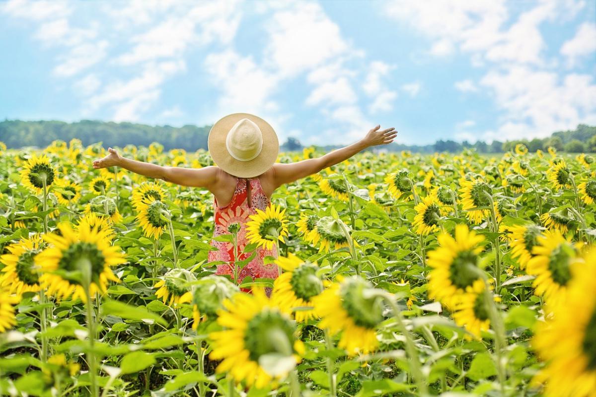 Погода 29 липня: грози на Заході, Півночі та Центрі, спека до +36°C