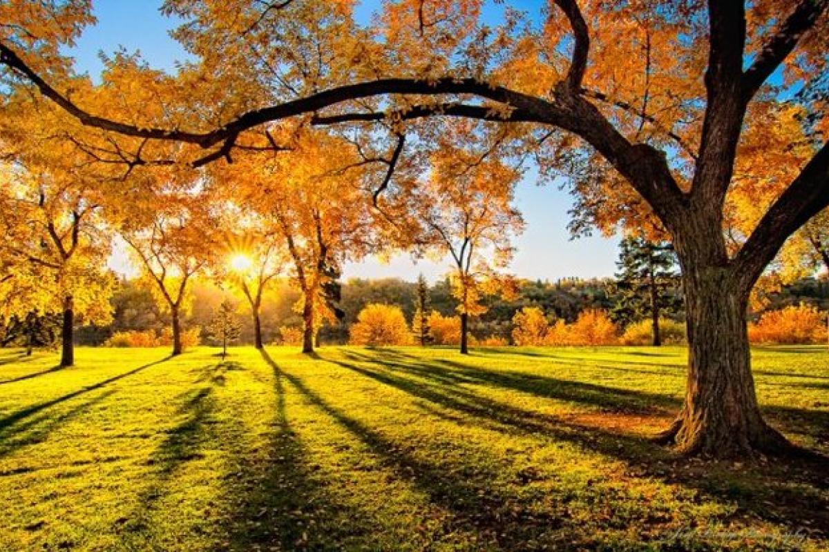 Погода, рівнодення, вересень