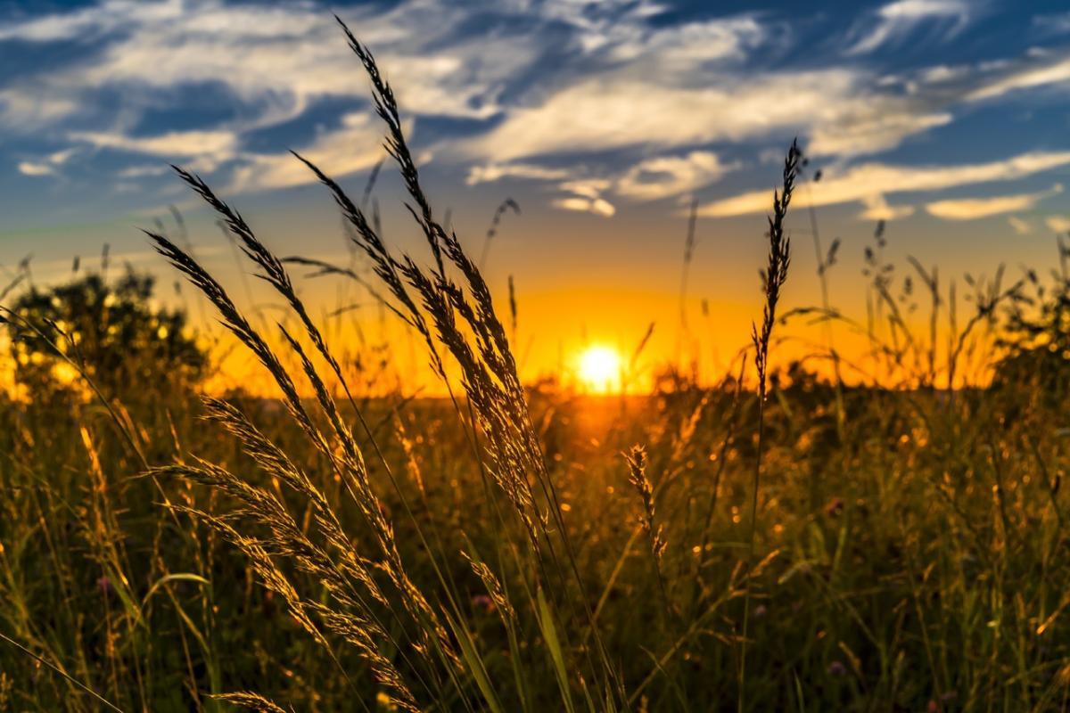 https://vchaspik.ua/ua/ukrayina/591292-batkam-na-zamitku-ombudsmen-zaklykav-ne-publikuvaty-foto-ditey-u-den-znan