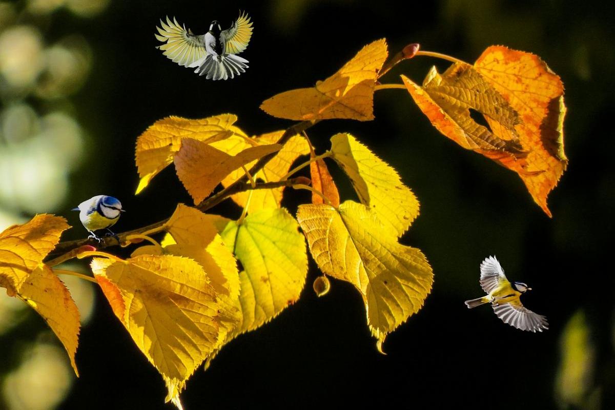 Середа в Україні: хмарно, вогко й прохолодно, на півдні — тепліше Середа в Україні: хмарно, вогко й прохолодно, на півдні — тепліше